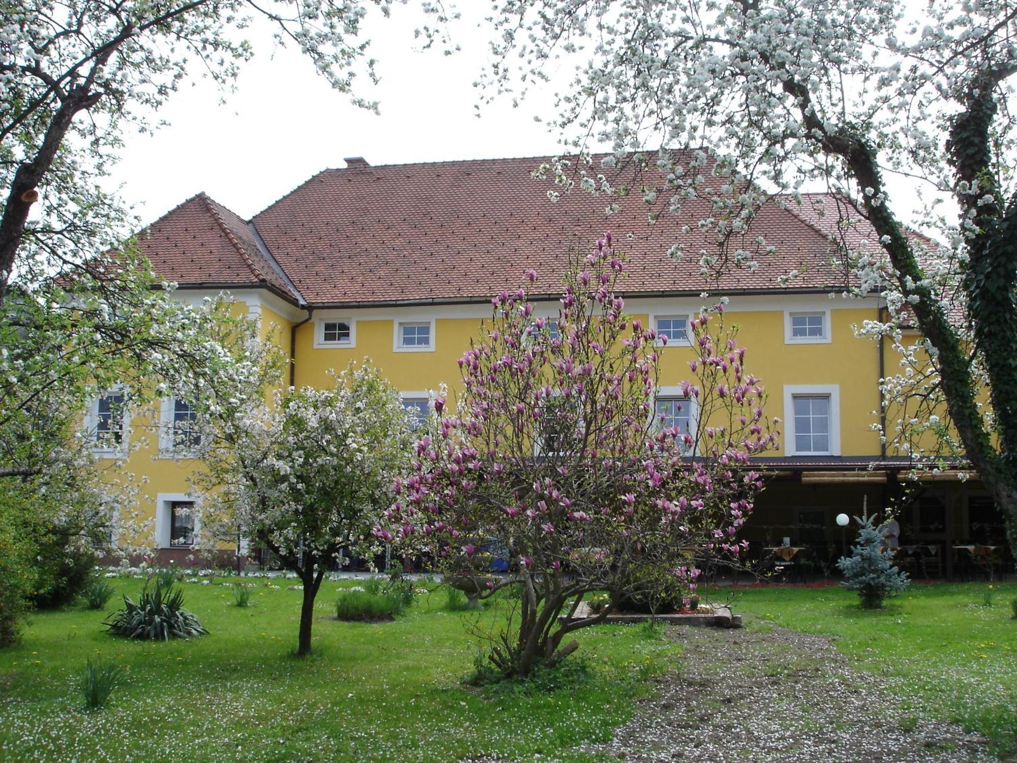 Guest House Cater Laško Exterior foto